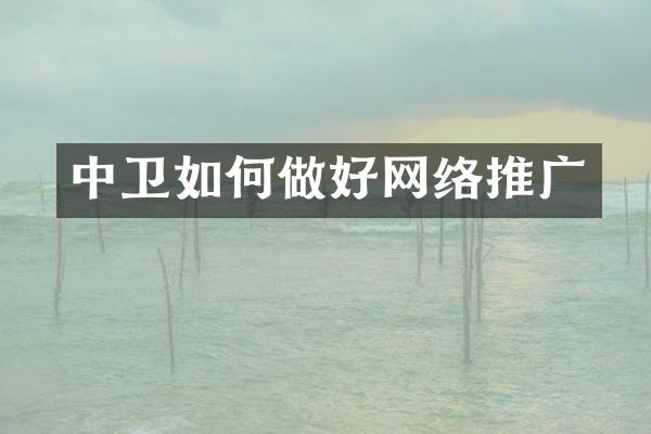 中卫如何做好网络推广