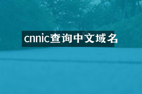 cnnic查询中文域名