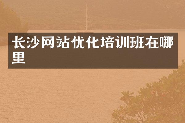 长沙网站优化培训班在哪里