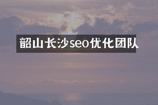 韶山长沙seo优化团队