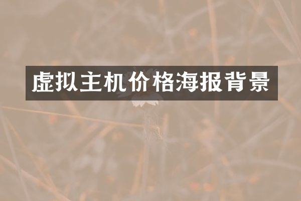 虚拟主机价格海报背景