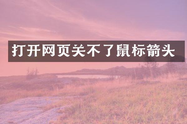 打开网页关不了鼠标箭头