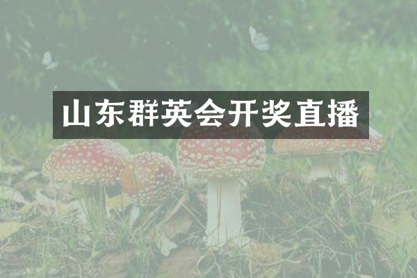 山东群英会开奖直播