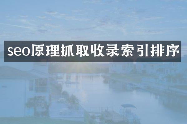 seo原理抓取收录索引排序