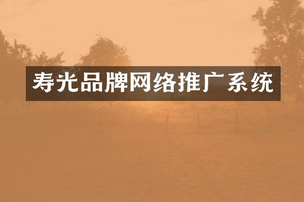 寿光品牌网络推广系统