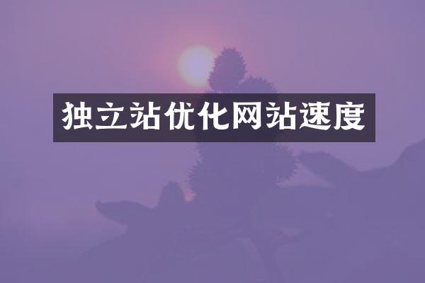 独立站优化网站速度