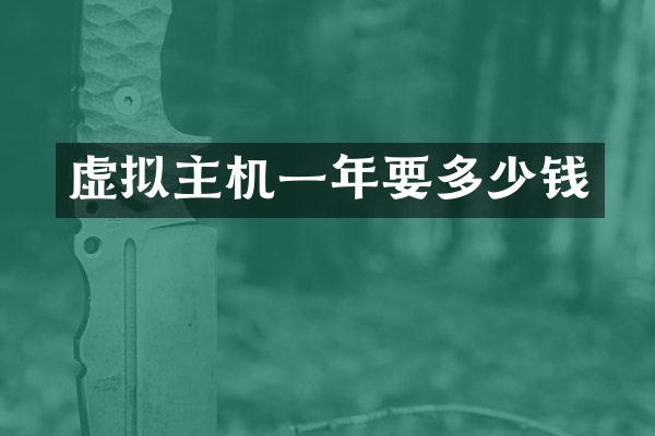 虚拟主机一年要多少钱
