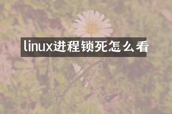 linux进程锁死怎么看