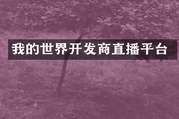 我的世界开发商直播平台