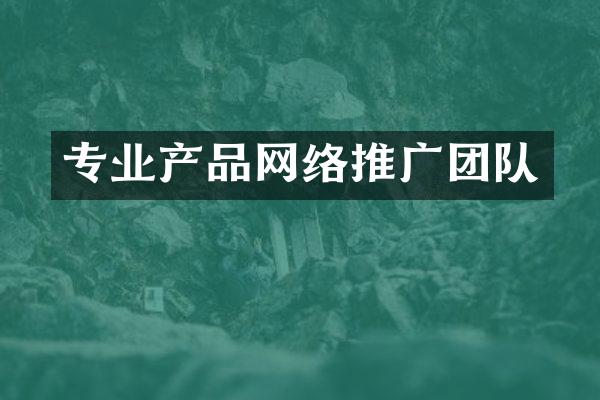 专业产品网络推广团队