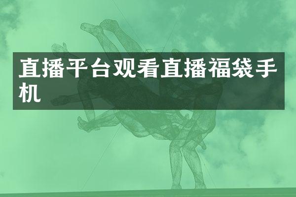 直播平台观看直播福袋手机
