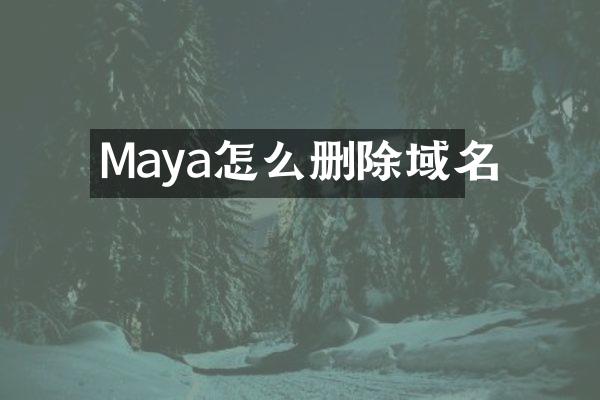 Maya怎么删除域名