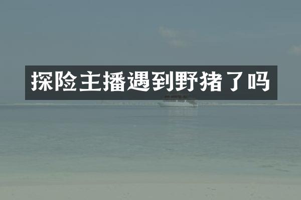 探险主播遇到野猪了吗