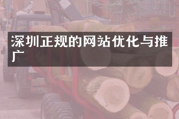 深圳正规的网站优化与推广