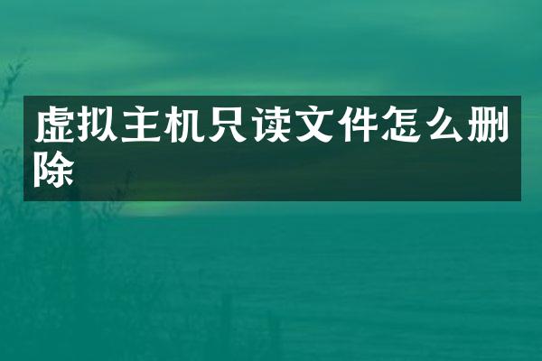 虚拟主机只读文件怎么删除