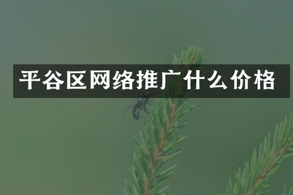 平谷区网络推广什么价格