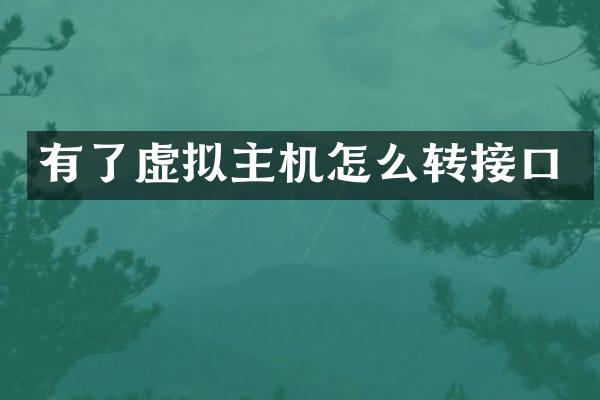 有了虚拟主机怎么转接口