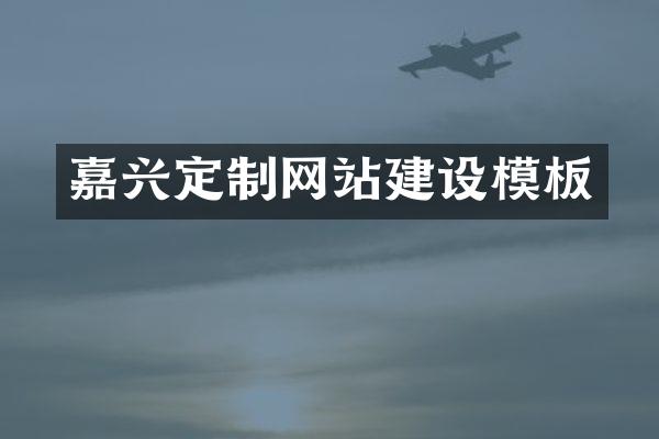 嘉兴定制网站建设模板