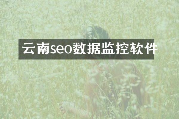 云南seo数据监控软件