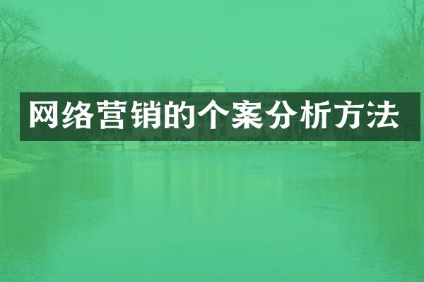 网络营销的个案分析方法