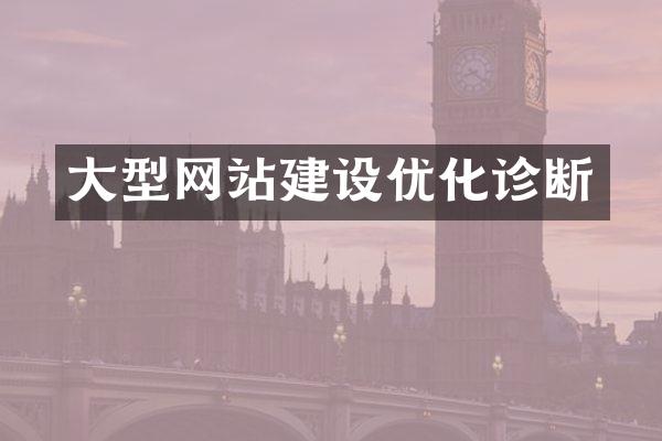 大型网站建设优化诊断