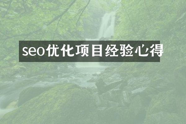 seo优化项目经验心得