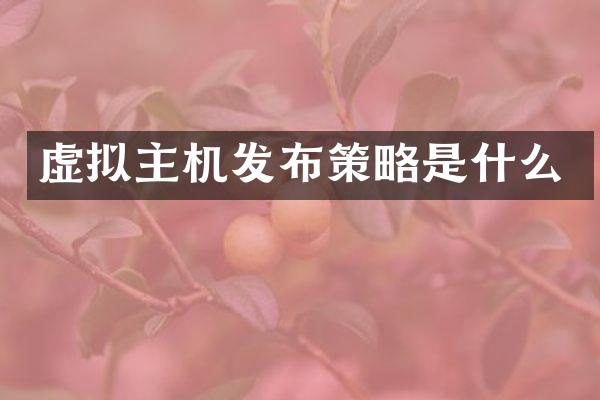 虚拟主机发布策略是什么