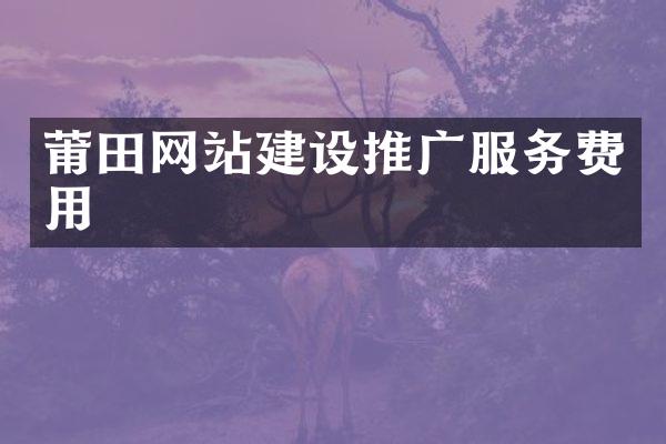 莆田网站建设推广服务费用