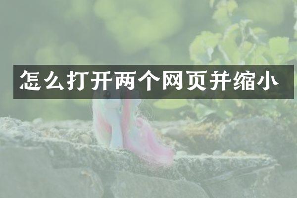 怎么打开两个网页并缩小