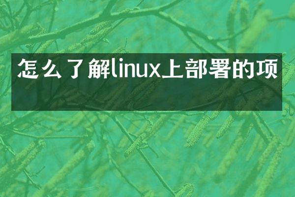 怎么了解linux上部署的项目