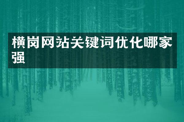 横岗网站关键词优化哪家强