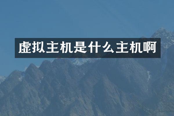 虚拟主机是什么主机啊
