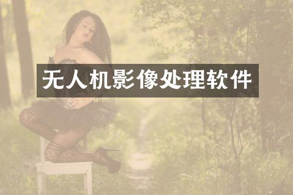 无人机影像处理软件