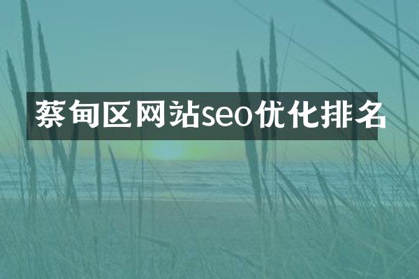 蔡甸区网站seo优化排名