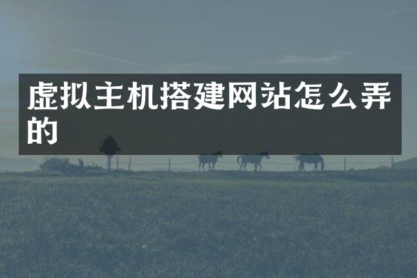 虚拟主机搭建网站怎么弄的