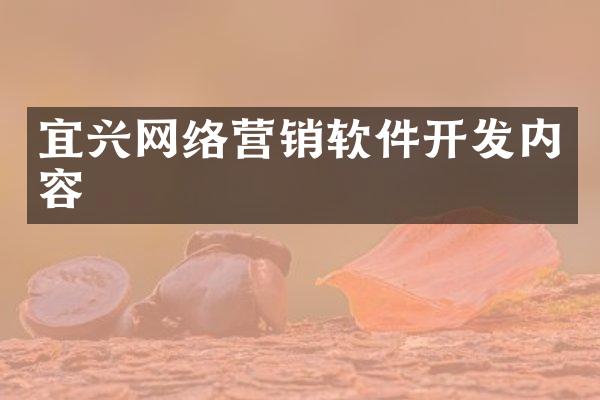 宜兴网络营销软件开发内容