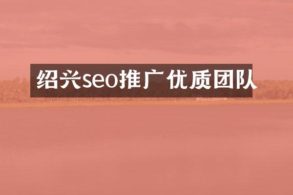 绍兴seo推广优质团队