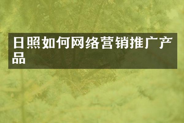 日照如何网络营销推广产品