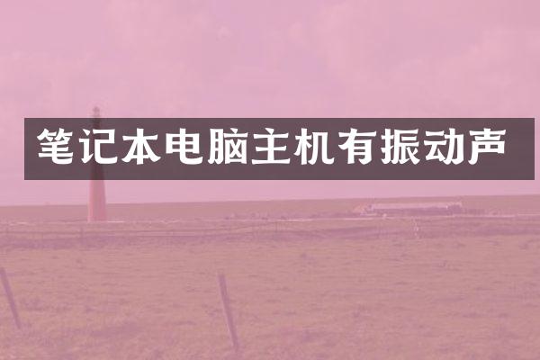 笔记本电脑主机有振动声