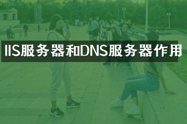IIS服务器和DNS服务器作用