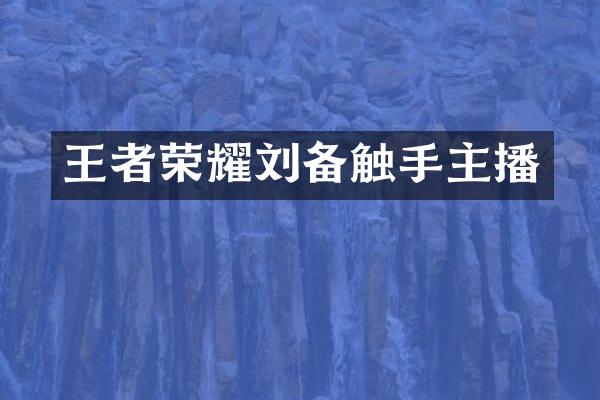 王者荣耀刘备触手主播