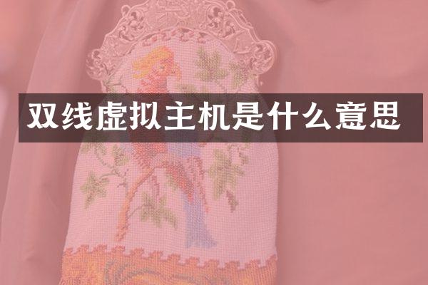 双线虚拟主机是什么意思