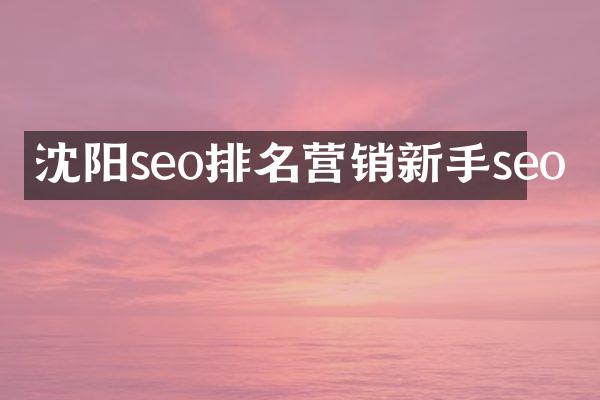 沈阳seo排名营销新手seo