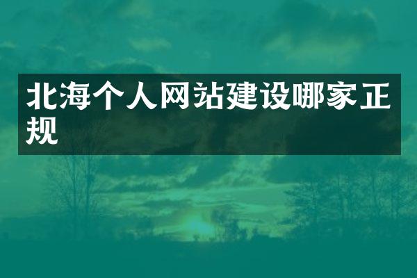 北海个人网站建设哪家正规