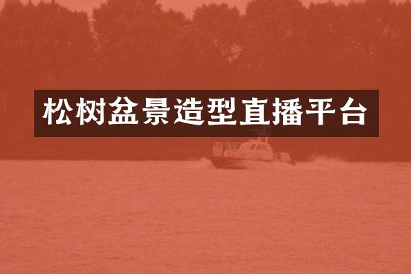 松树盆景造型直播平台