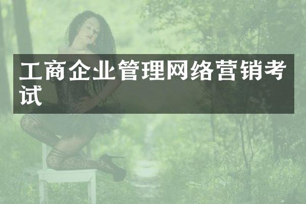 工商企业管理网络营销考试