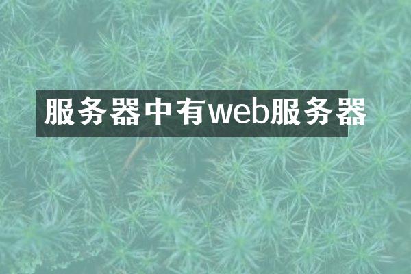 服务器中有web服务器