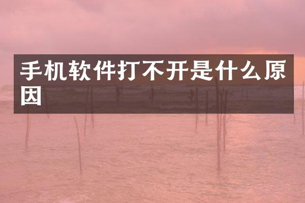 手机软件打不开是什么原因