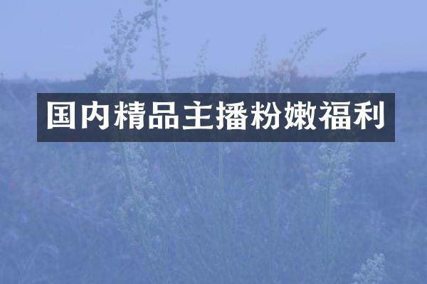 国内精品主播粉嫩福利