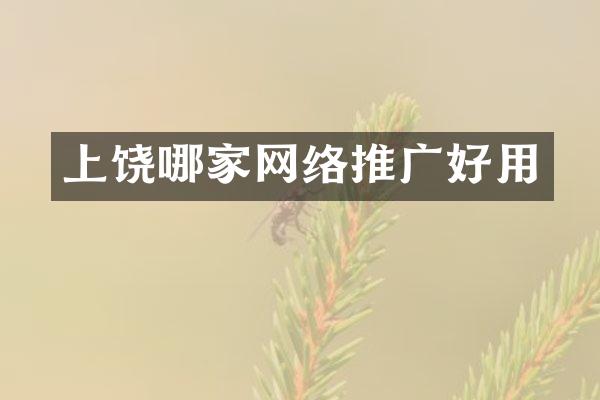 上饶哪家网络推广好用